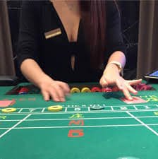 155bet