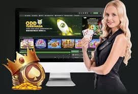 155bet